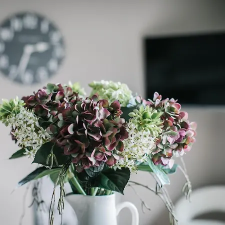 Carus House @ Carus ゲストハウス *